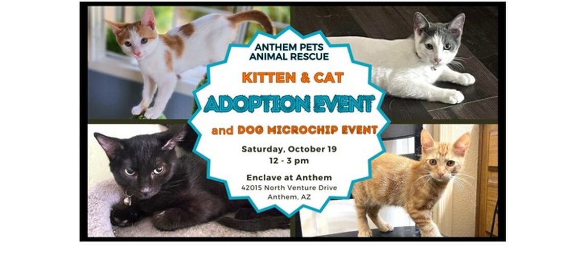 Enclave Adoption Event October 1