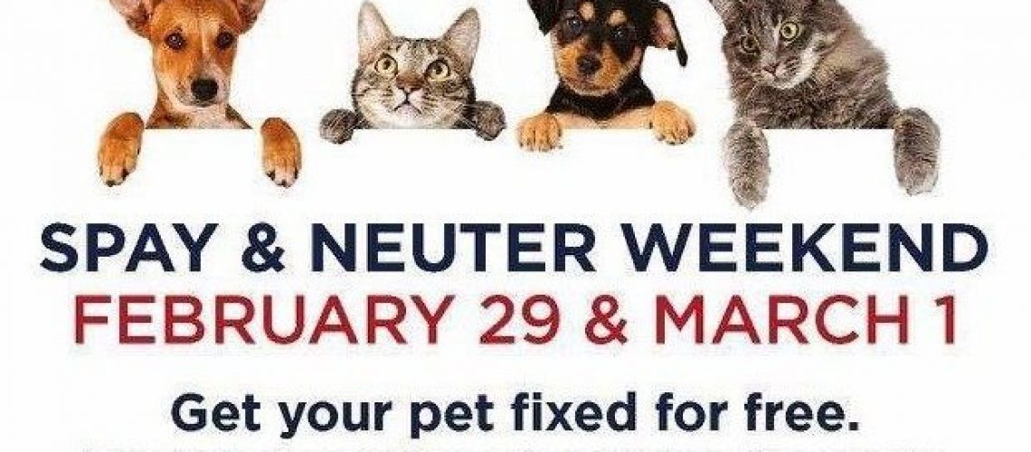 FREE Spay & Neuter Weekend Anthem Pets