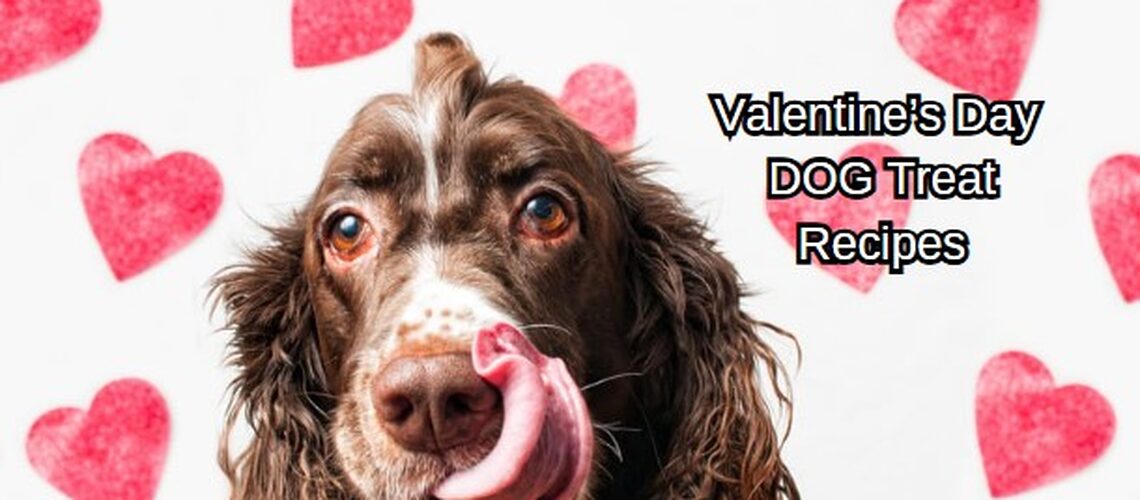 valentines day recipes for dog treats